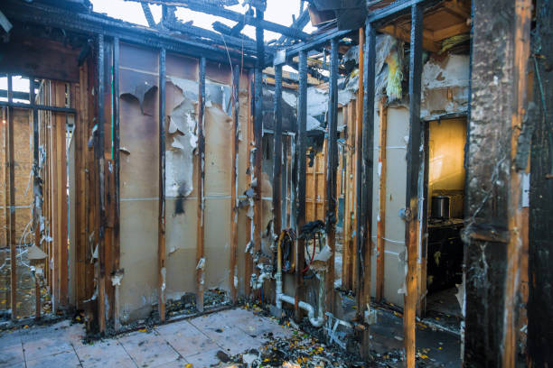Professional Fire Damage Removal technician working in Stevenson, WA