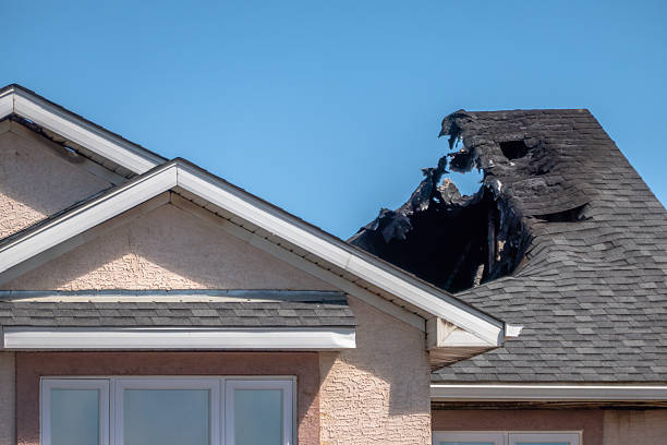 Top rated local Fire Damage Removal specialists in Stevenson, WA